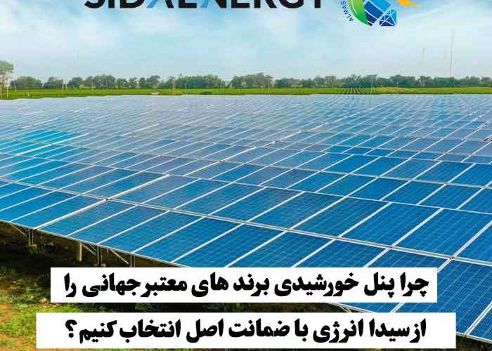 پنلهای خورشیدی نصب شده روی زمین سرسبز که انتخاب برندهای معتبر جهانی را با ضمانت اصل نشان میدهد